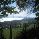 Wanderung Pfaender bis Troegen 2011 _7__jpg-1319024678