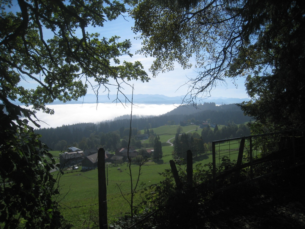 Wanderung Pfaender bis Troegen 2011 _7__jpg-1319024678