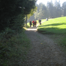 Wanderung Pfaender bis Troegen 2011 _10__jpg-1319024696