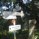 Wanderung Pfaender bis Troegen 2011 _12__jpg-1319024705