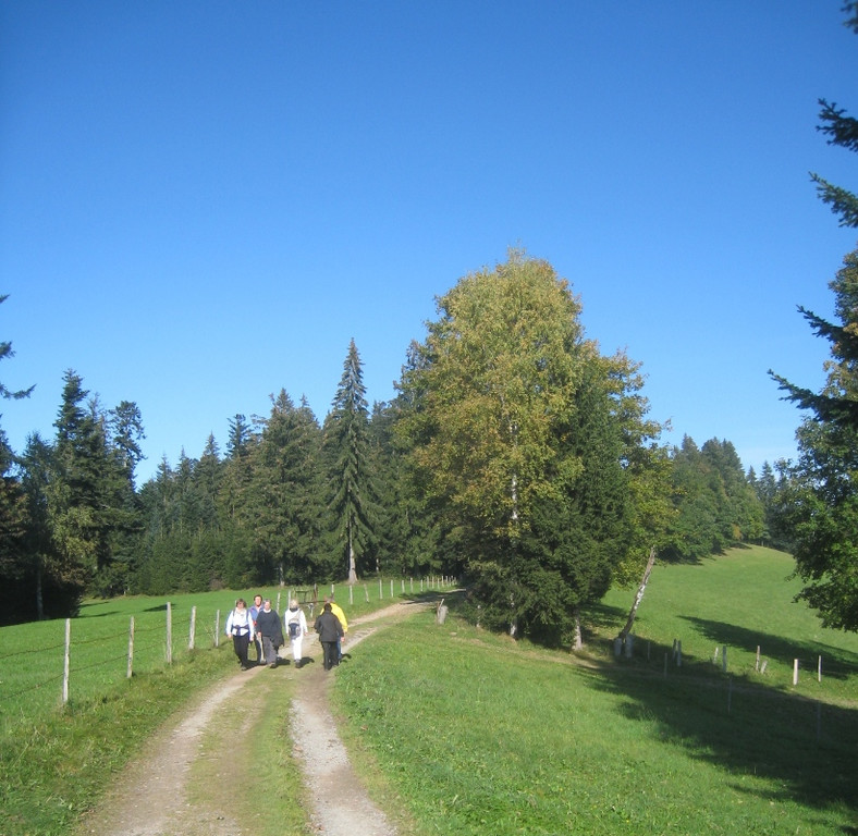 Wanderung Pfaender bis Troegen 2011 _33__jpg-1319024814