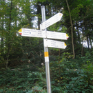 Wanderung Pfaender bis Troegen 2011 _14__jpg-1319024724