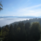 Wanderung Pfaender bis Troegen 2011 _25__jpg-1319024776