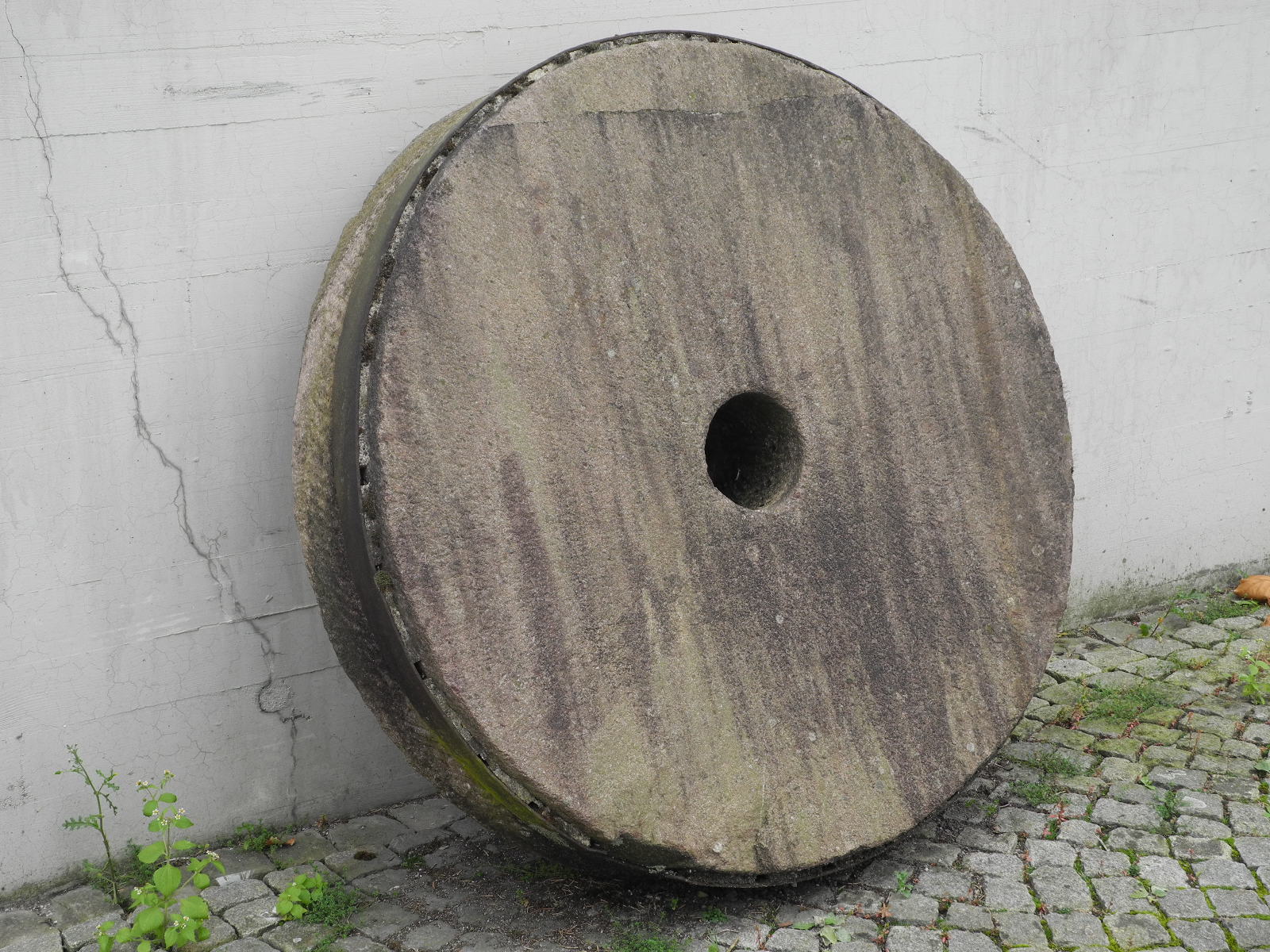 DSCN0299_JPG-1319026171