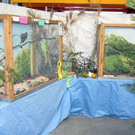 Vogelausstellung vom VVZ