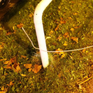 normal_19102011fmt_oberleitung_ta_003.JPG