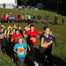 Landesmeisterschaften Crosscountry- Laufen