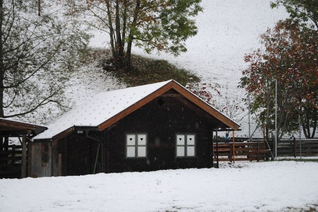 normal_201011schneesfaktivnews002.JPG