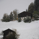 normal_201011schneesfaktivnews005.JPG