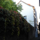 DSCN0292_JPG-1319129023