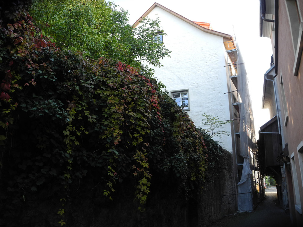 DSCN0292_JPG-1319129023