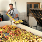 Mosterei 04_10_2011 61_jpg-1319207477