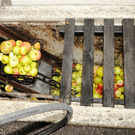 Mosterei 04_10_2011 41_jpg-1319207397