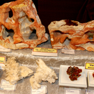 DSC01031_JPG-1319279893