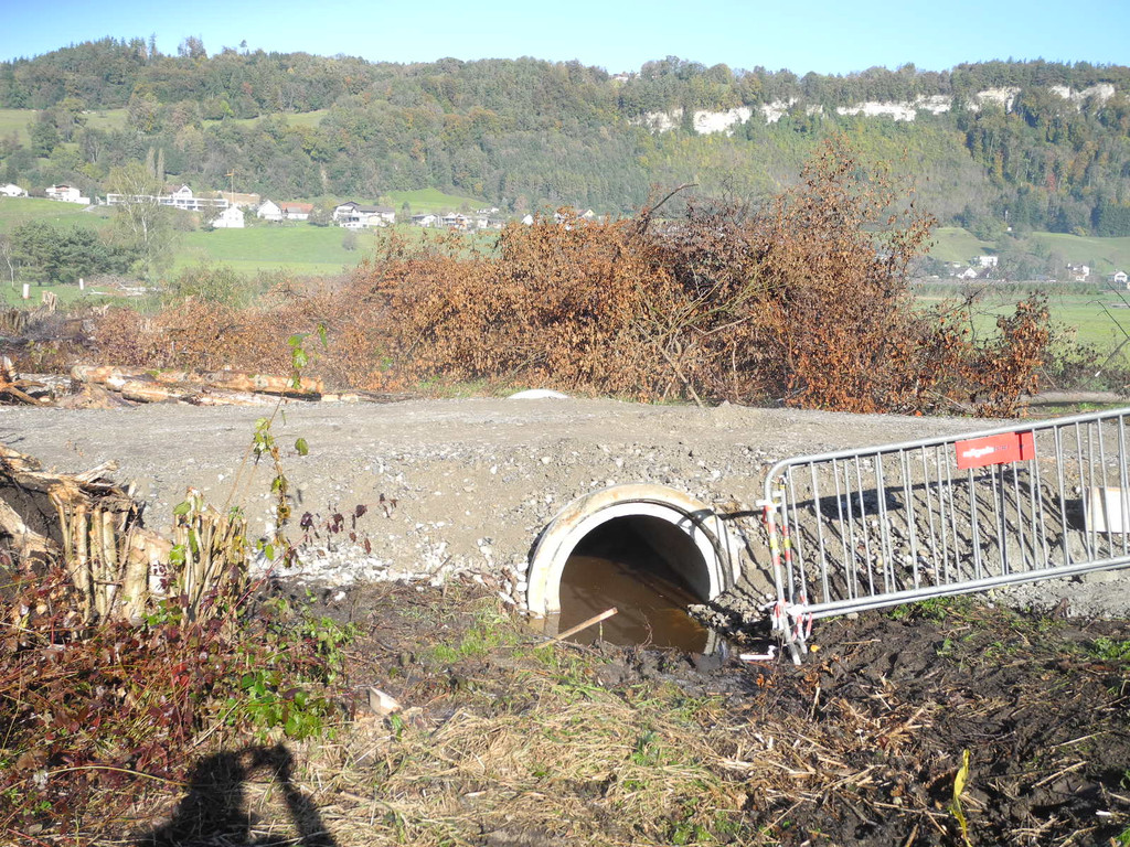 DSCN0339_JPG-1319288110