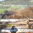 DSCN0340_JPG-1319288126