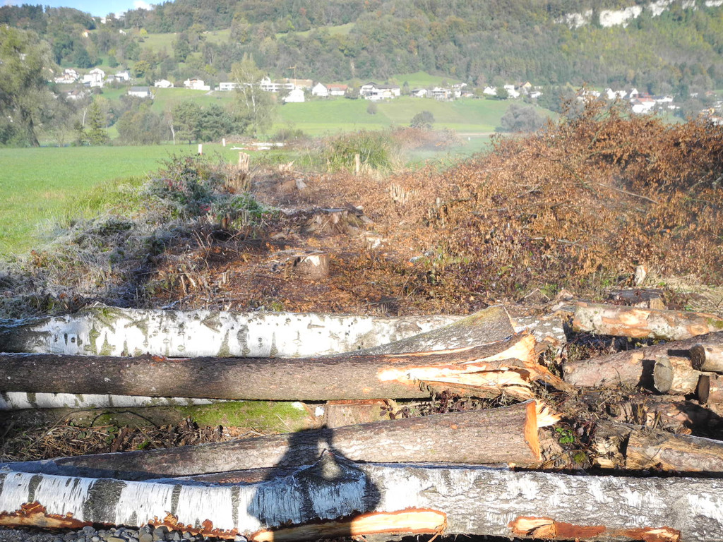 DSCN0340_JPG-1319288126