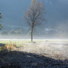 DSCN0359_JPG-1319288324