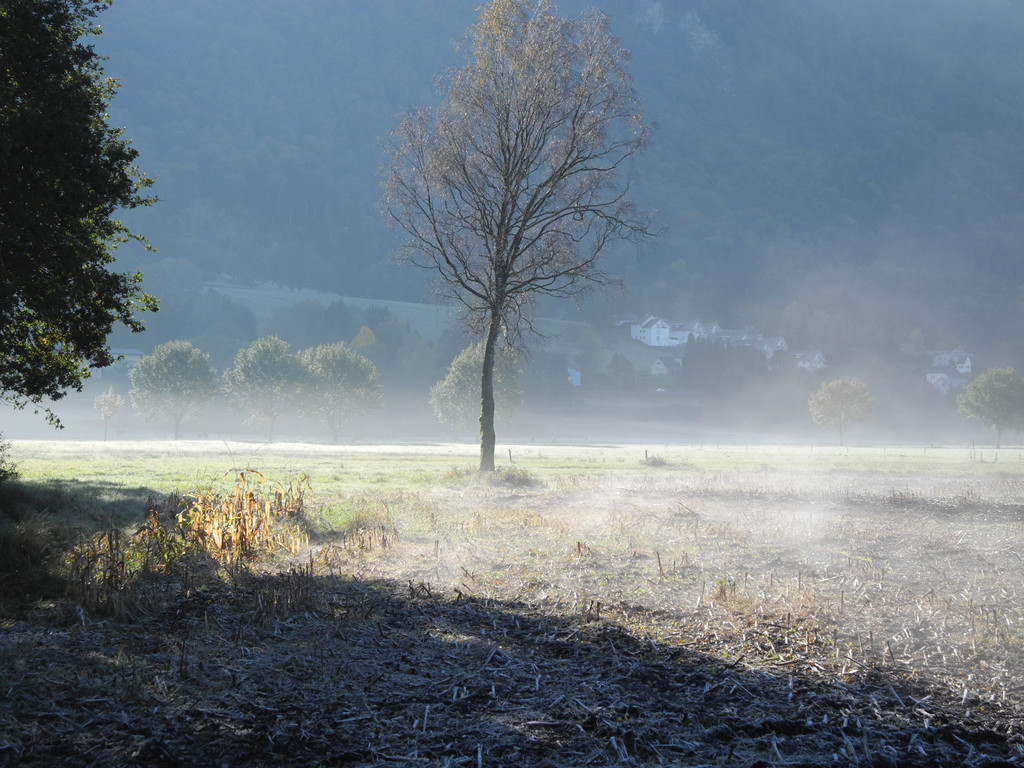 DSCN0359_JPG-1319288324