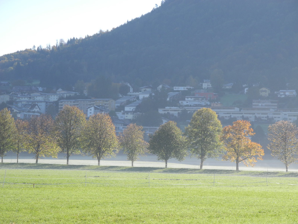 DSCN0360_JPG-1319288335