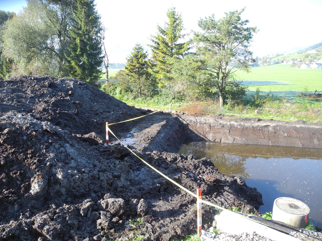 DSCN0350_JPG-1319288202