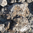 DSCN0351_JPG-1319288215