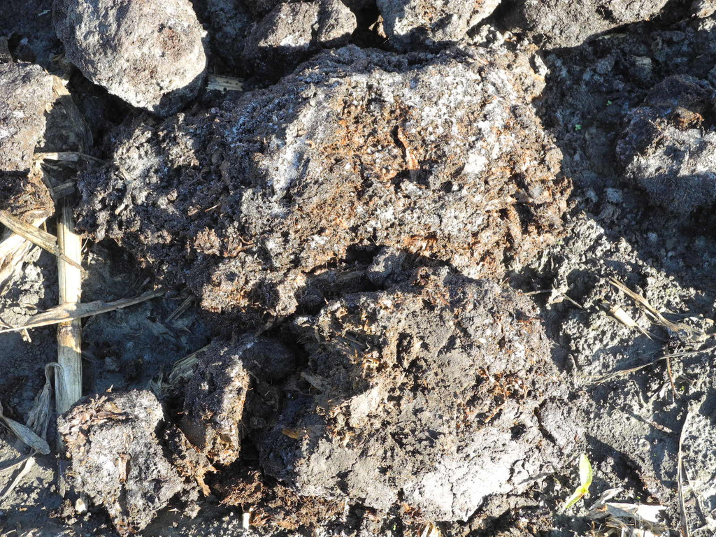 DSCN0351_JPG-1319288215