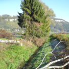 DSCN0355_JPG-1319288265