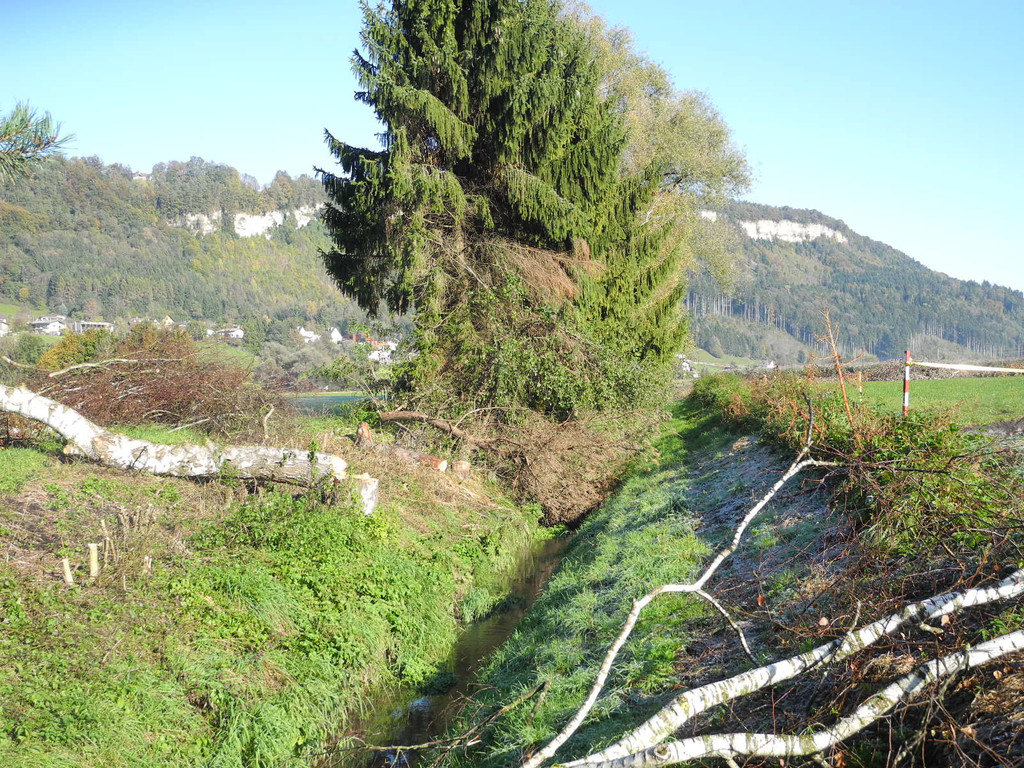 DSCN0355_JPG-1319288265