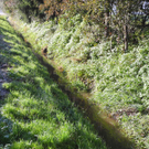 DSCN0356_JPG-1319288279