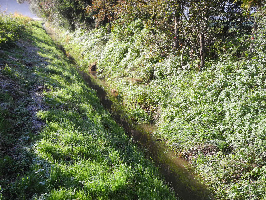 DSCN0356_JPG-1319288279