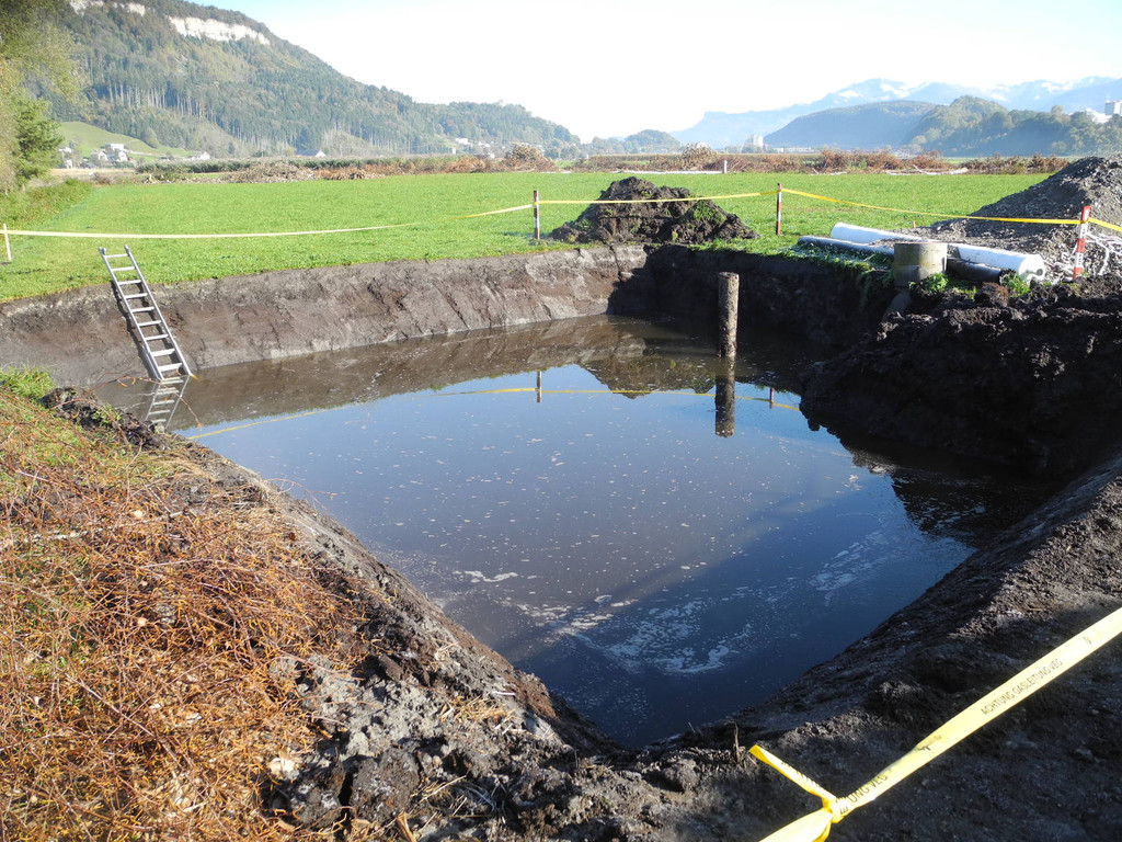 DSCN0354_JPG-1319288252