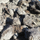 DSCN0357_JPG-1319288295