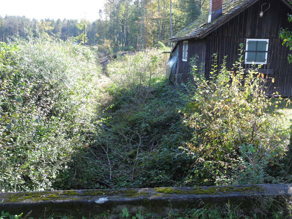 DSCN0367_JPG-1319289147