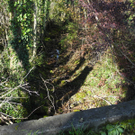 DSCN0368_JPG-1319289160