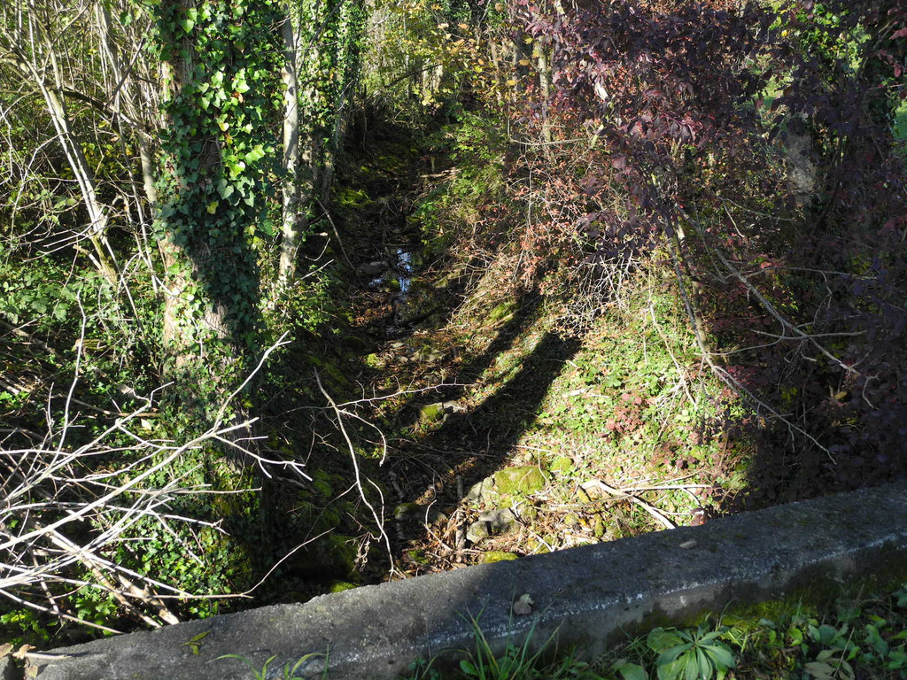 DSCN0368_JPG-1319289160