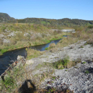 DSCN0373_JPG-1319289186