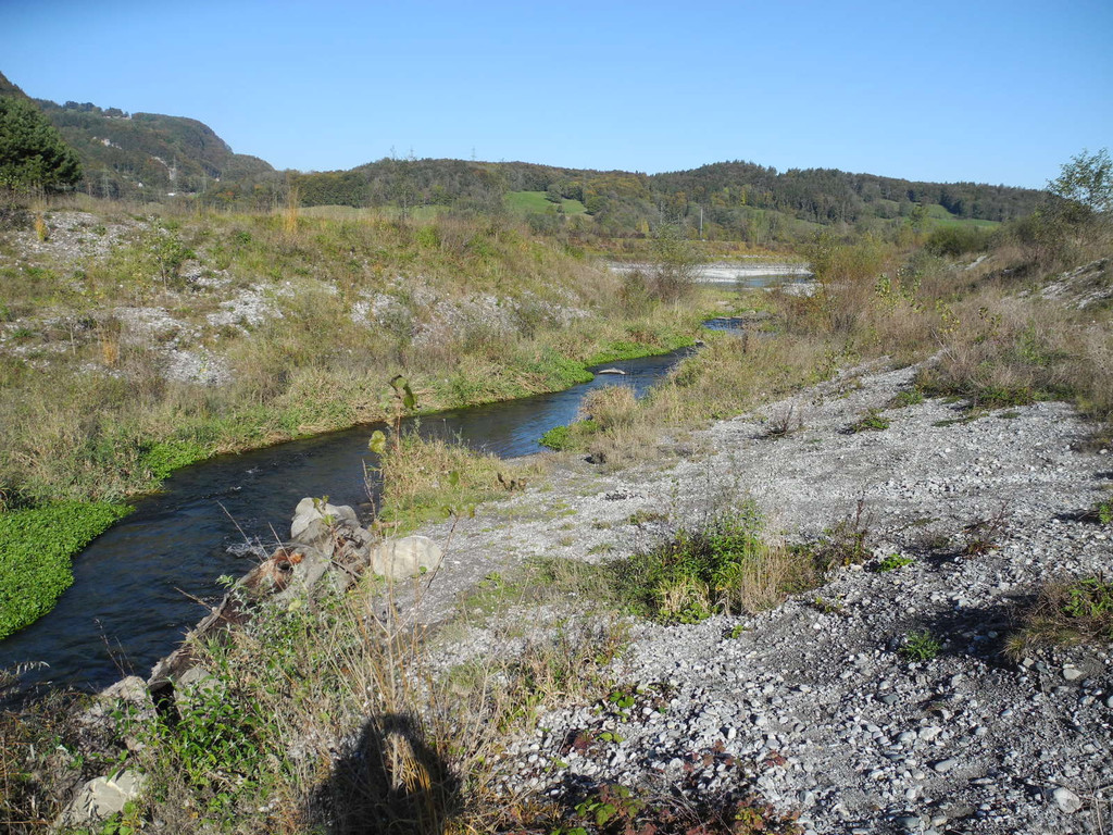 DSCN0373_JPG-1319289186