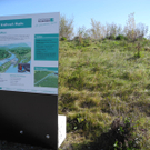 DSCN0375_JPG-1319289201