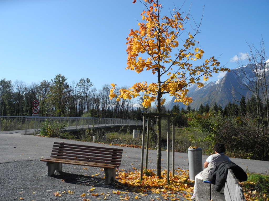 DSCN0385_JPG-1319289303