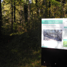 DSCN0391_JPG-1319289369