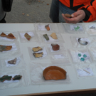 DSCN0422_JPG-1319290444