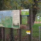 Laufsport am See  2011 _14__jpg-1319300629