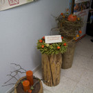 IMG_8056.jpg