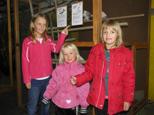 Julia_ Anna-Lena_ Eva-Maria.JPG