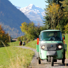 KOE_Weinbau G__fis 5_jpg-1319311214