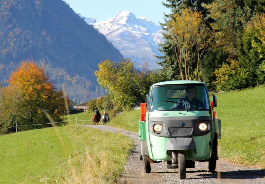 KOE_Weinbau G__fis 5_jpg-1319311214