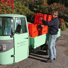 KOE_Weinbau G__fis 8_jpg-1319311257