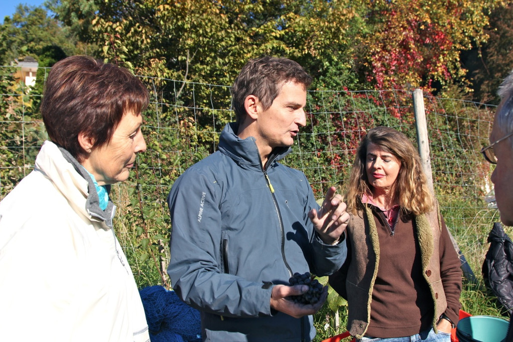 KOE_Weinbau G__fis 12_jpg-1319311308
