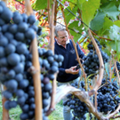 KOE_Weinbau G__fis 20_jpg-1319311445